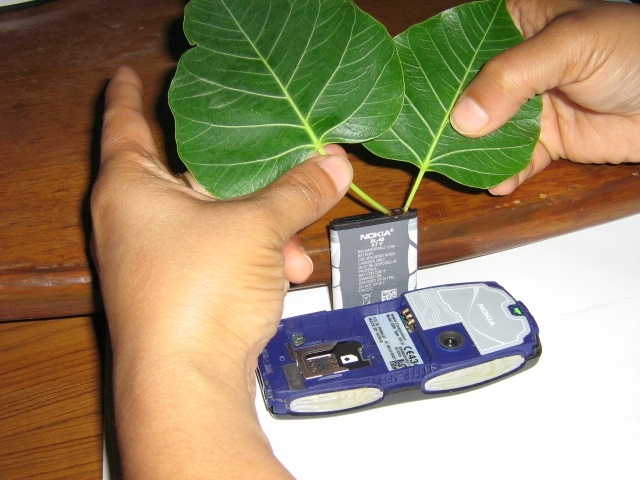 Вчені запропонували заряджати мобільні пристрої від рослин