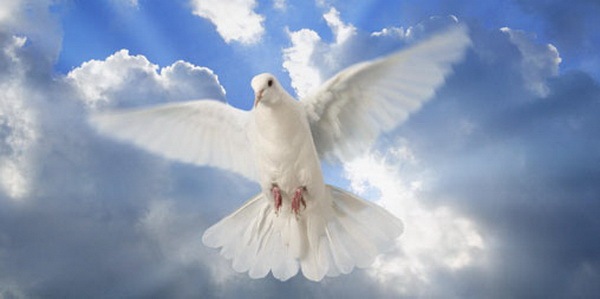 11136475_812412202169189_64879038_o