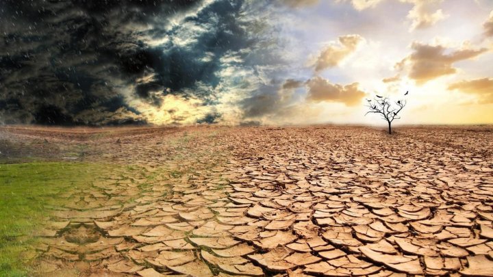 17 червня – Всесвітній день боротьби з опустелюванням і засухою