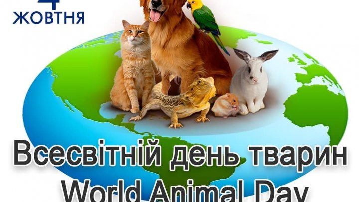 4 жовтня – Всесвітній день тварин