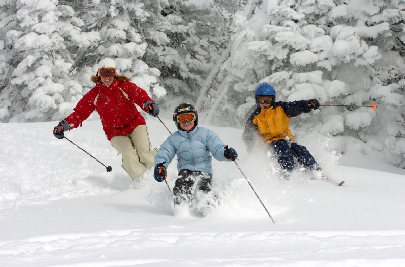 17 січня – Всесвітній день снігу (День зимових видів спорту)