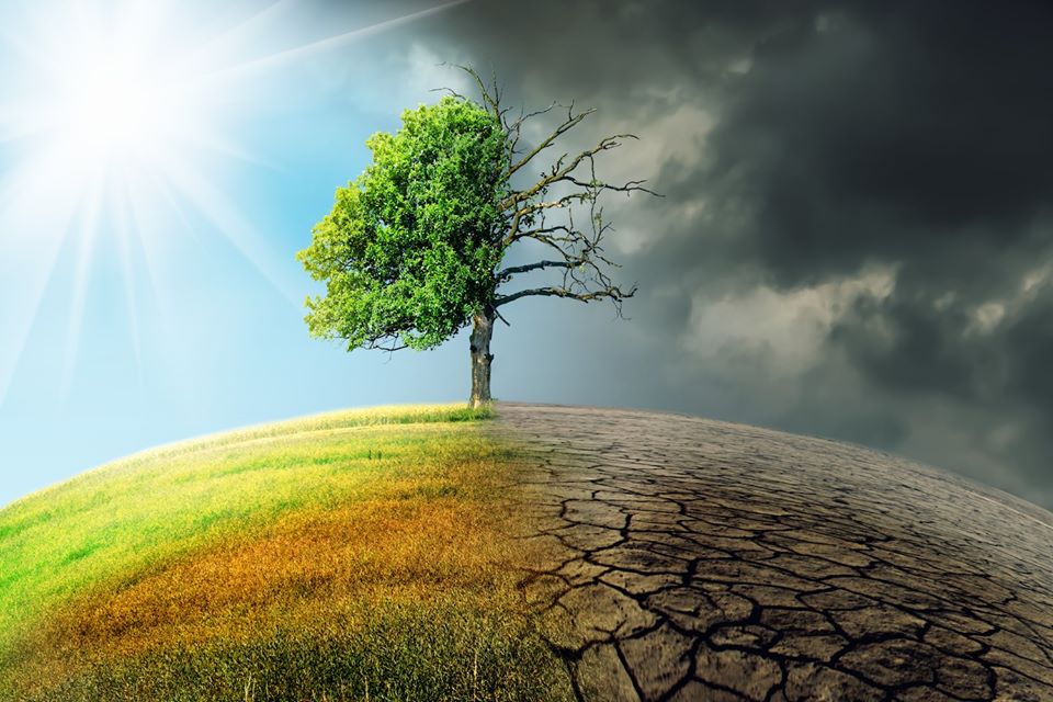 15 травня – Міжнародний день захисту клімату