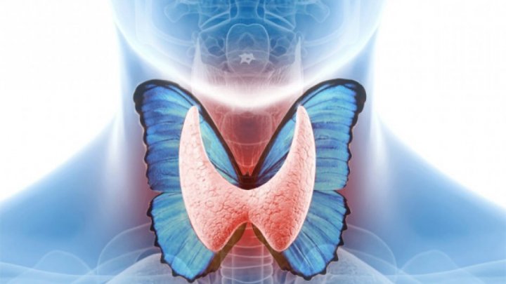 25 травня – Всесвітній день щитовидної залози