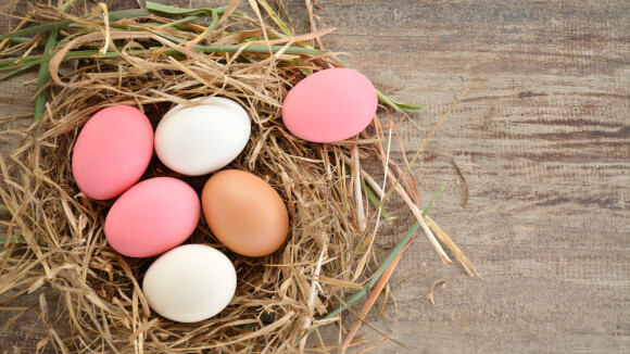 9 жовтня – Всесвітній день яйця