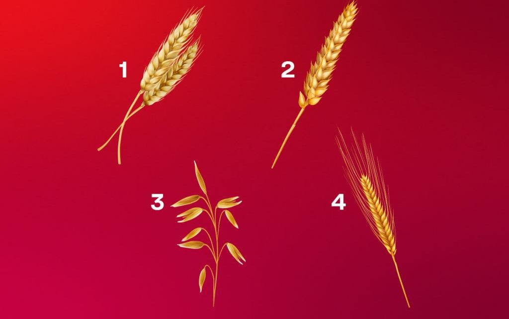 Психологічний тест з колосами “Яку рису характеру ви підсвідомо розвиваєте”?