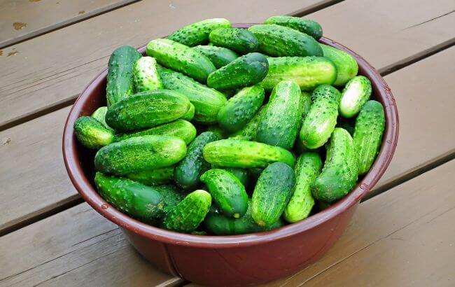 Найкращі сорти огірків для відкритого ґрунту. Записуйте назви