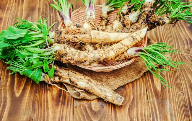 Корисний хрін чи ні? Лікар розповів усю правду про пекучий коренеплід