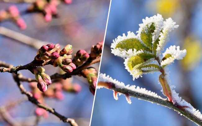 Синоптик розказала, чи будуть ще в лютому морози та коли прийде весна