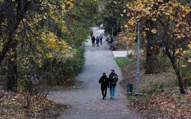 Заморозки у жовтні – звичайне явище. Якої погоди очікувати в Україні у другий місяць осені